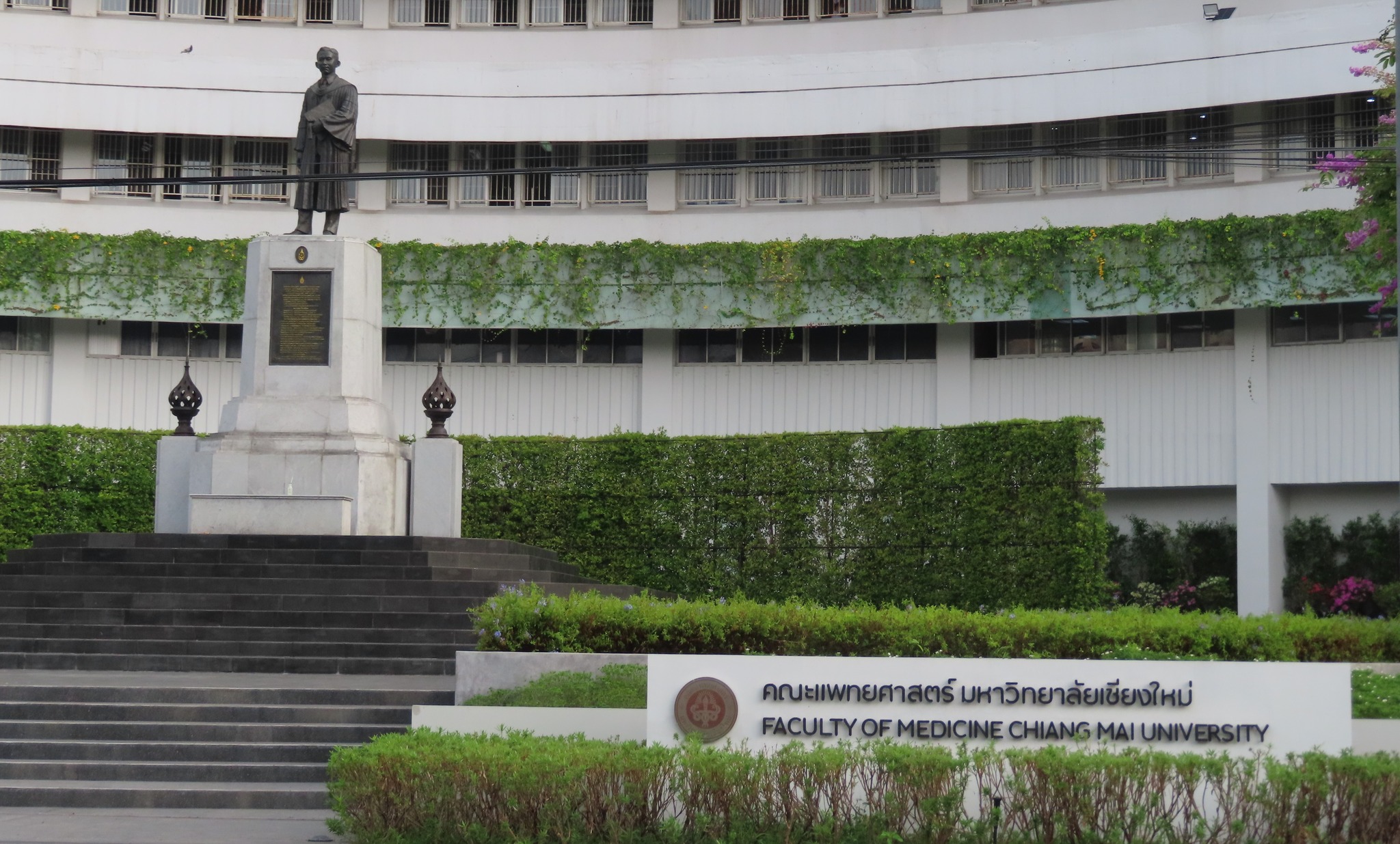 Faculty of Medicine Atmosphere